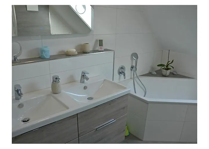 Starfish Comfortable *