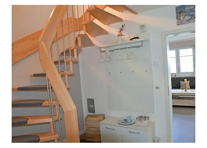 Starfish Comfortable * Breege